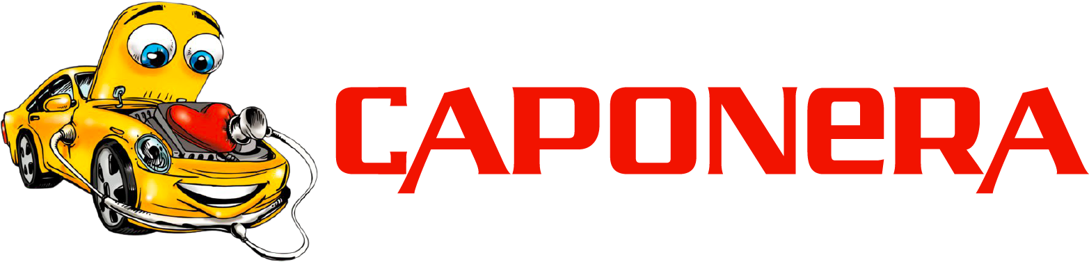 Officina Caponera srl PuntoPro Castrol Service logo